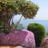 giardino suite
